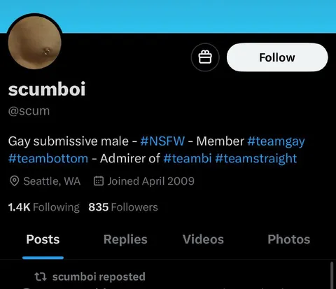 Suspicious NSFW Twitter Profile