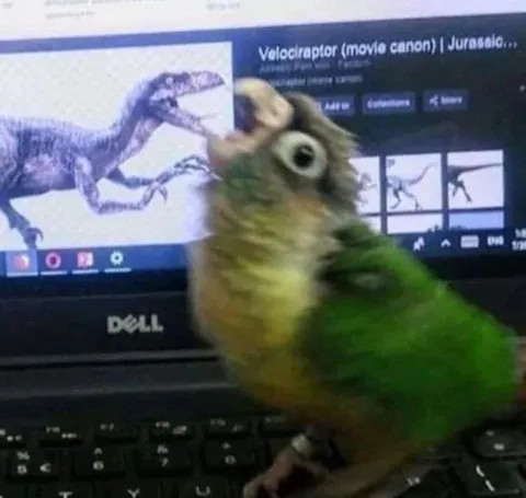 Parrot Watches Velociraptor
