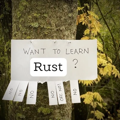 Want to Learn Rust