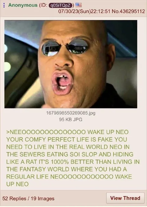 Wake Up Neo Reality Is Better