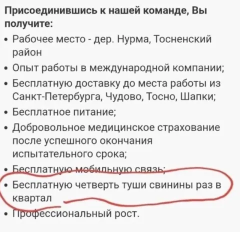 Четверть туши свинины в соцпакете