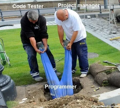 Code Tester Project Manager Programmer