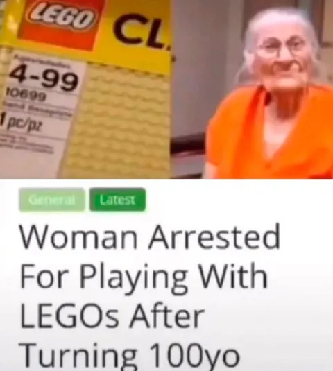 Woman Arrested for Playing With LEGOs