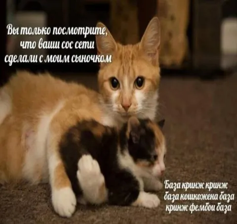 Соцсети сделали с сыночком
