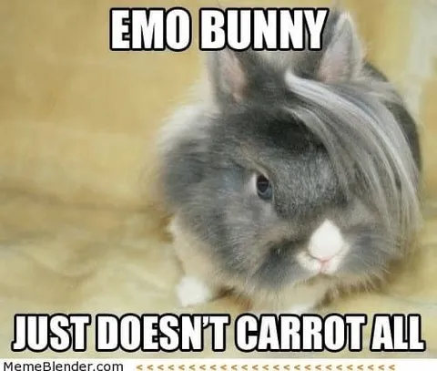 Emo Bunny Just Doesn't Carrot All