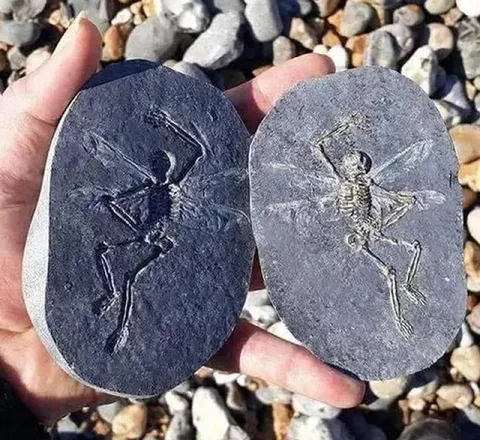 Два друга в камне