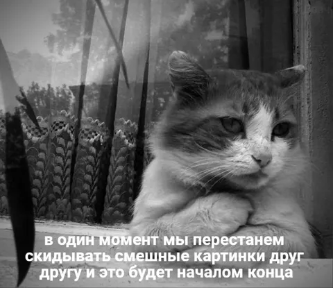 Начало конца смешных картинок