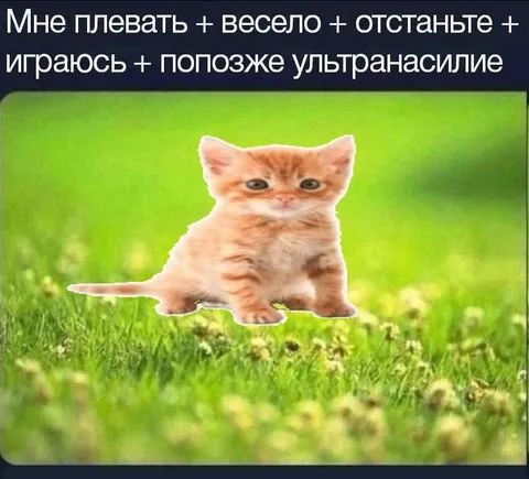 Котёнок и ультранасилие