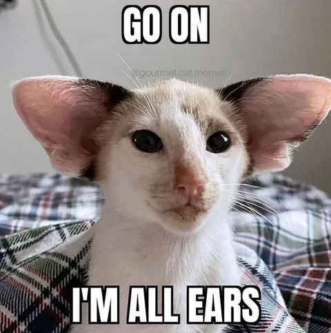 Go On, I'm All Ears