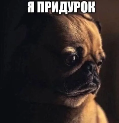 Я придурок