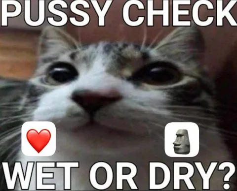 Pussy Check Wet or Dry