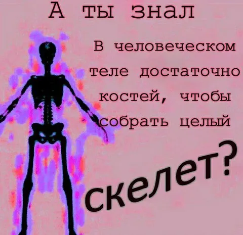 Достаточно костей на скелет