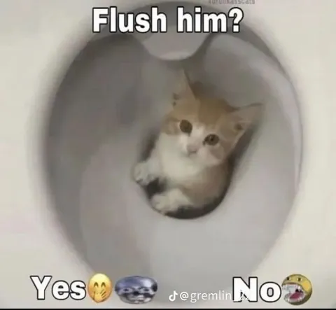 Flush Him? Yes or No
