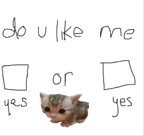 Do You Like Me Yes or Yes
