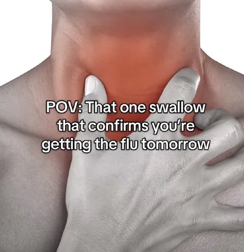 That One Swallow Confirms the Flu