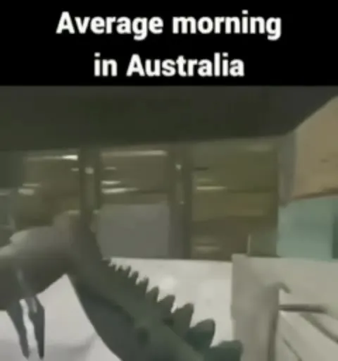 Average Morning in Australia