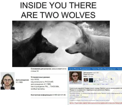 Inside You There Are Two Wolves