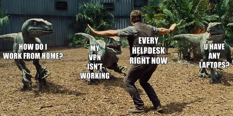 Remote Work Raptor Chaos