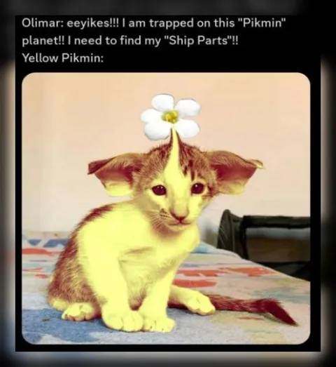 Yellow Pikmin Cat