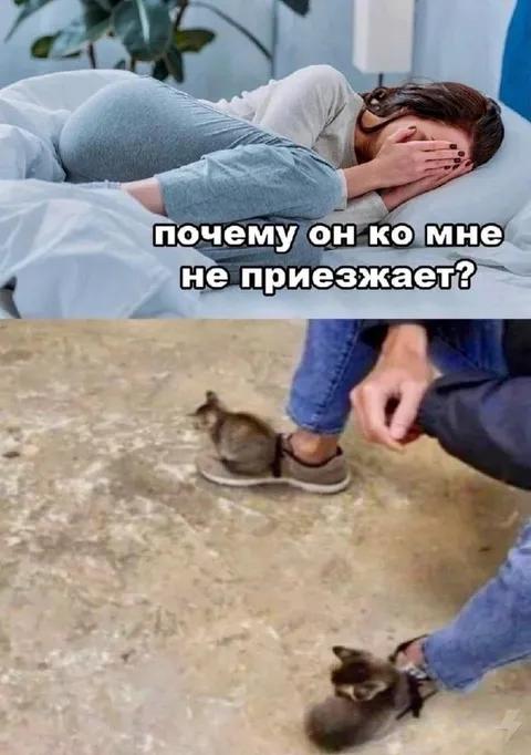 Почему он ко мне не приезжает