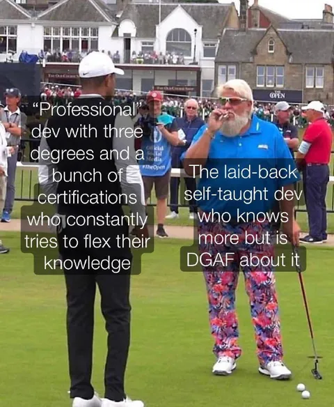 Professional Dev vs Self-Taught Dev