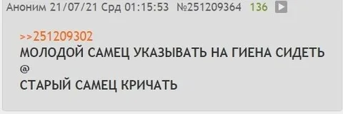 Молодой самец указывает на гиену