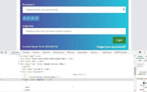 Captcha Revealed in Developer Tools