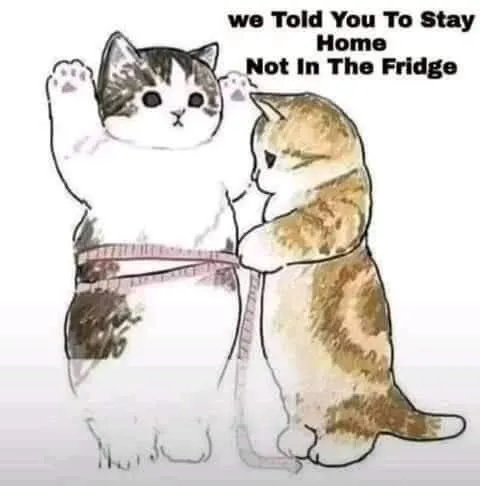 Stay Home Not In The Fridge