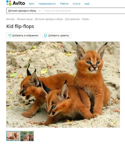 Kid Flip-Flops on Avito