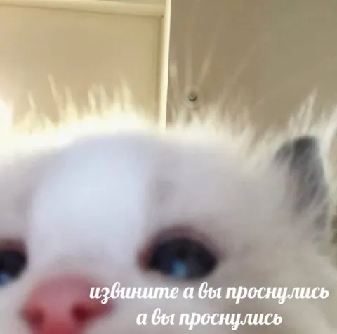 Извините, а вы проснулись