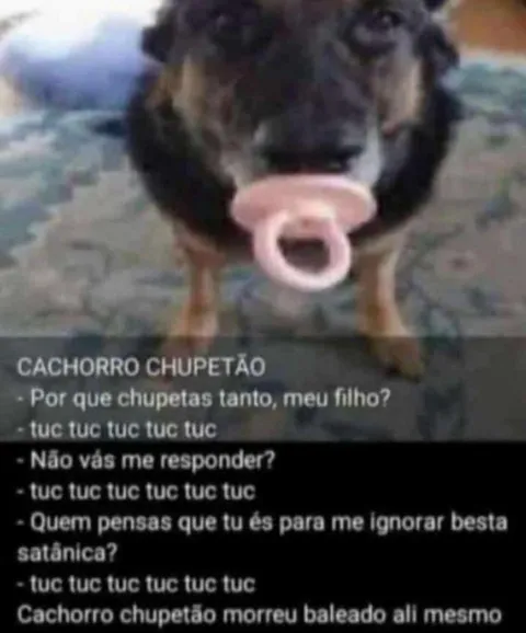 Cachorro chupetão ignorado