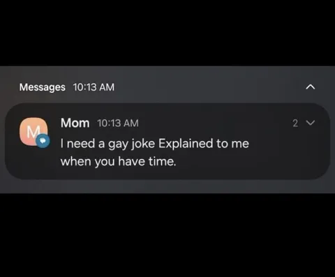 Mom Wants a Gay Joke Explained