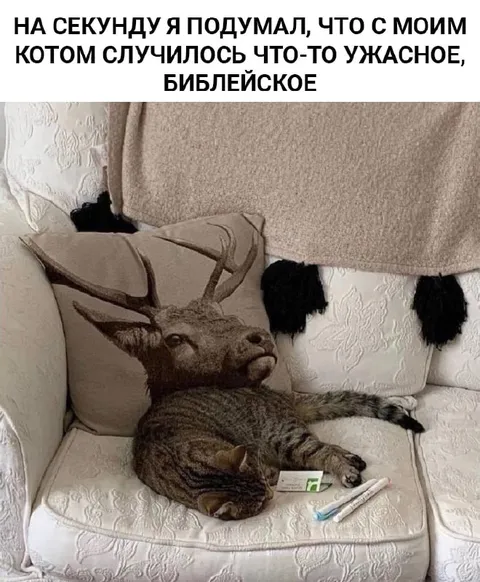Библейское превращение кота