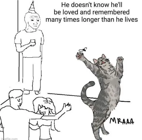 Loved and Remembered Cat Dance