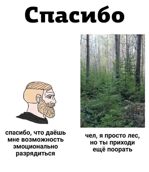 Лес для эмоциональной разрядки