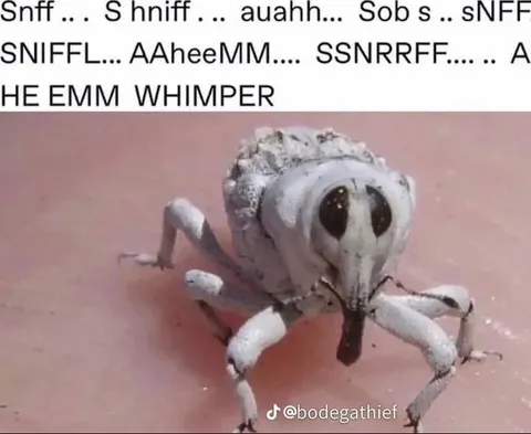 The Emm Whimper