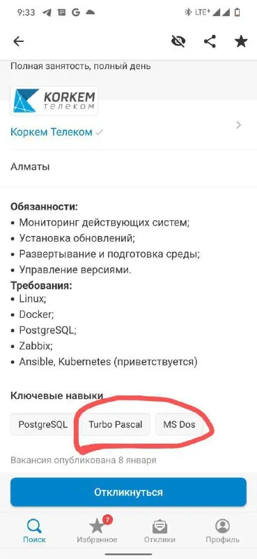 Вакансия DevOps с Turbo Pascal