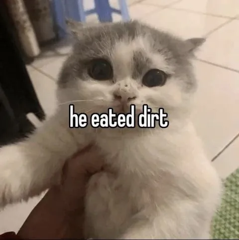 He Eated Dirt Cat
