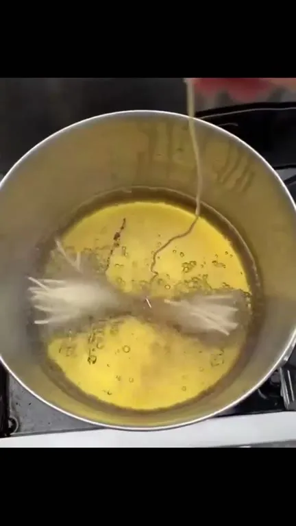 Italian Husband's Iron Branch Spaghetti