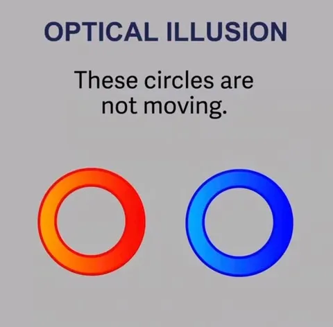 Optical Illusion Circles Move