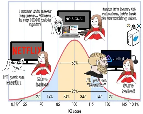The IQ Bell Curve Netflix Meme