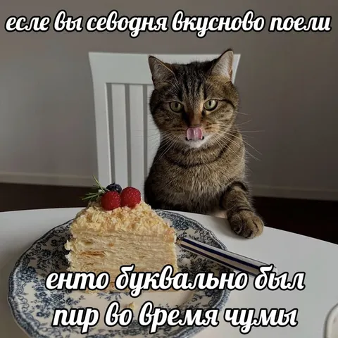 Кот ест вкусный торт