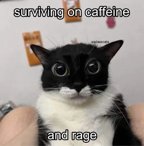 Surviving on Caffeine and Rage