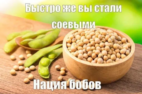 Нация бобов стала соевой