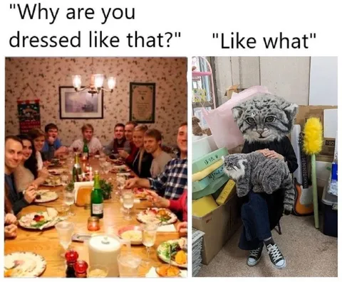 Dressed Like That