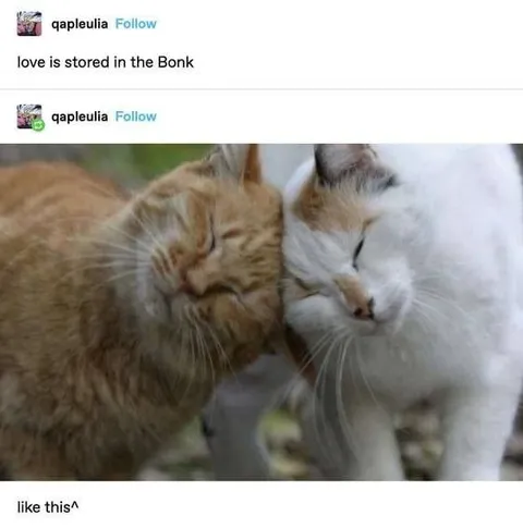 Love Is Stored in the Bonk