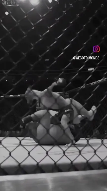 Собака дерётся в UFC