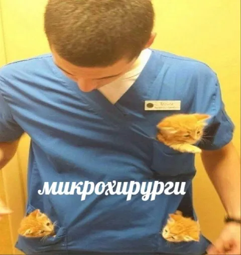 Микрохирурги с котятами