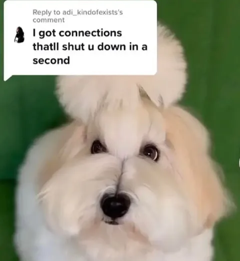 Cute Dog Threat Reaction
