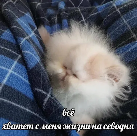 Всё, хватит жизни на сегодня